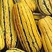 Produktbild Delicata Winterkürbis 40 Samen - GARDEN FRESH PACK!