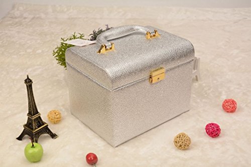 Preisvergleich Produktbild HNBGY Schick Große kosmetische Box Kosmetik Aufbewahrungsbox Lippenstift Nagellack Tisch Display Kleiderschrank (Silber)