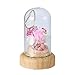 Produktbild YJF-YSH Valentinstag Holz Bluetooth Lautsprecher verzauberte Rose in Glasabdeckung Micro Landschaft Ever Life Flower LED Licht Weihnachten Geburtstag Muttertagsgeschenk,B