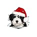 Produktbild BESTOYARD 3 Stück 3D Weihnachten Wand Dekore Peel & Stick Wandkunst Aufkleber Abnehmbare DIY Cartoon Hund Aufkleber Wandbilder Dekoration für Kinderzimmer Zimmer WC Küche Büros