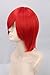 Topcosplay Unisex Universal Short Straight Cosplay Costumes Halloween Party Hair Full Wigs (Red)