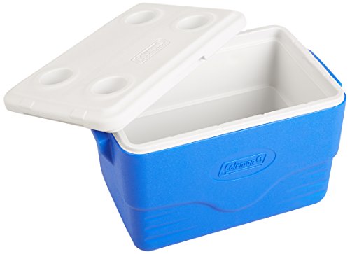 Coleman 6281A718G Kühlbox Poly-lite, 34 Liter (57 x 35 x 37 cm) - 2