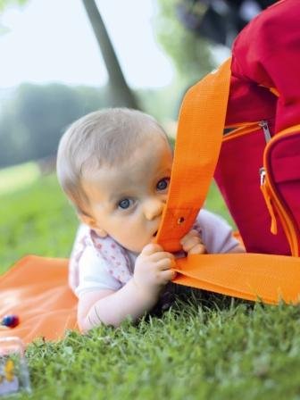 Price comparison product image Reisenthel Baby Bag Red Carrot