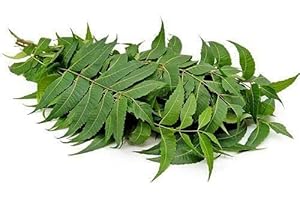 EliteKoopers 50g Fresh Organic Neem Leaves Nim Leaf For Medical Use Acne & Skin Care