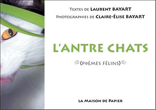 couverture de : L'antre chats