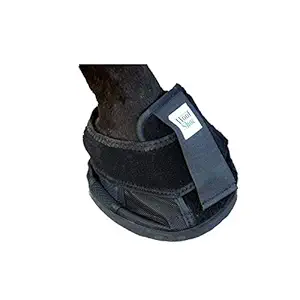 Intrepid International Penn Equine Natural Hoof Shoe
