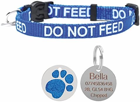 Cat Collar Do Not Feed With Bell Quick Release Free Engraved 25mm Glitter ID Tag (Blue)