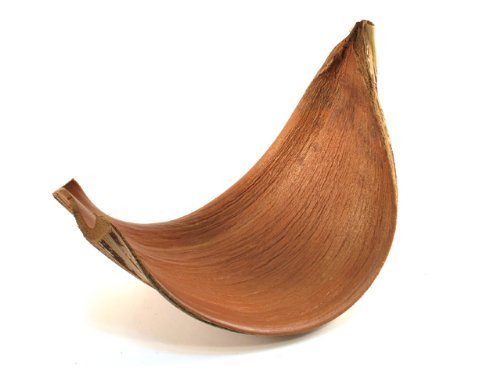 NaDeco Kokosblatt Galera offen | Kokosschale Galara | Palmenschale | Palmenblatt | Kokos Schale - 5