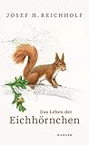 Das Leben der Eichhörnchen by Josef H. Reichholf, Johann Brandstetter
