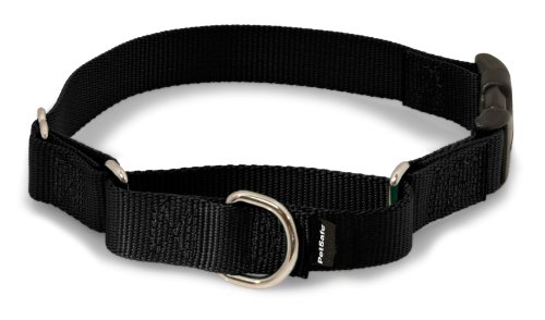 PetSafe Martingale Dog Collar with Quick-Snap Buckle - Medium, 3/4 Inch, Black