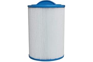 SPACHEM Spa Hot Tub and Swimming Pool Filter Filtration Cartridges ST25 - Darlly 60251 Filbur: FC-0305, PTL20W-SV-P-4 Unicel: 6CH25