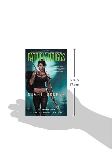 Book's Cover of Night Broken