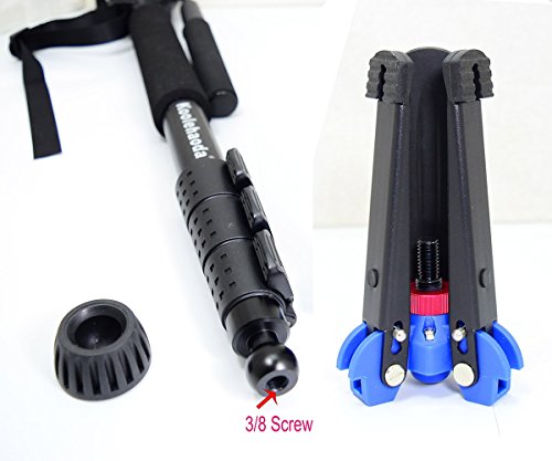 Precio Más Barato Koolehaoda cámara profesional de aluminio monópode
Cabeza de vídeo fluido con A2-trípode titular, Max: 64 ", Carga máxima:
6 kg en Amazon