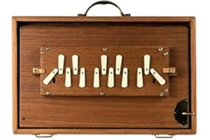 FASHERATI M2 Low G Shruti Box