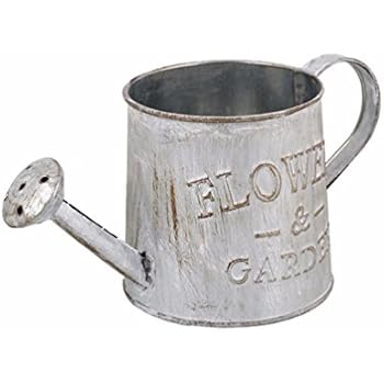 OUNONA Blumentopf Eimer Vase Eisen Vintage Garten Haus Deko: Amazon.de