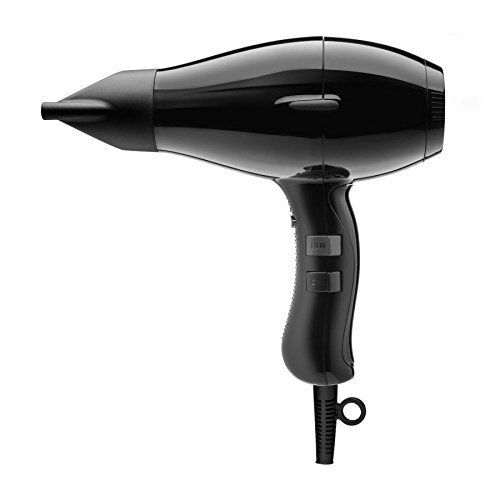 ELCHIM 3900 Healthy Ionic Hairdryer, Black