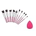Imported 10pcs Face Eye Contour Blusher Eyeshadow Make Up Brushes Set + Powder Puff RS.375.00