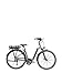 Produktbild Cicli Adriatica Fahrrad E Bike Steps Lady anthrazit