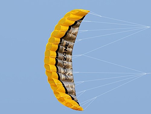 Huya Force 2.5m Outdoor Parafoil Kite - double ligne Stunt Parachute plage Kite avec poignÃÂ©e 30m Ligne by Huya Force