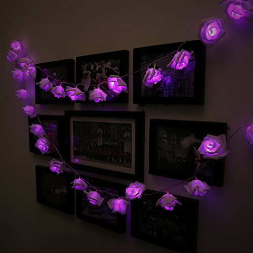 Denknova®LED Lichterkette, Rusee 20 LED Rosen Lichterkette Batteriebetrieben Innen Im Freien Beleuchtung für Garten Rasen Bar Verein Hochzeit Valentinstag Weihnachten Schlafzimmer Innendekoration (20 LEDs, lila) - 3