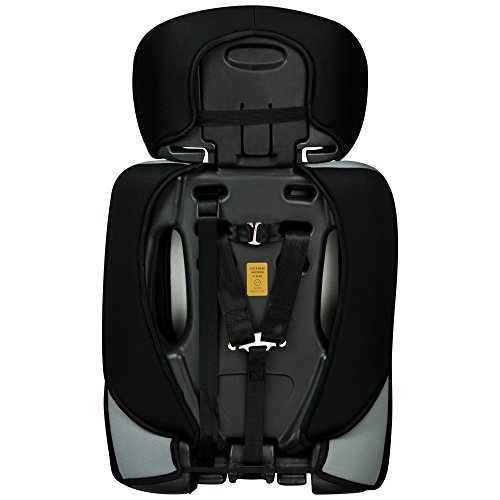 XOMAX XM-K1 PURPLE Autokindersitz + Gruppe I / II / III (9 – 36 kg) + ECE R44/04 geprüft + Lila, Schwarz, Grau + 5-Punkte-Sicherheitsgurt + mitwachsend + Kopfstütze verstellbar + Rückenlehne abnehmbar / Bezüge abnehmbar & waschbar - 7