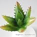 Produktbild VOOYE Simulation, mit Stollen Mini Succulent Cactus Pflanze für Aquarium Dekoration, 6, 6