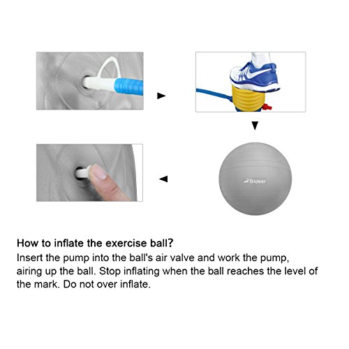 Trideer 65cm Anti-Burst Gymnastikball / Ballschale( Aufblasbaren Ring) / Widerstandsbänder inkl. Ballpumpe (2 Kombination), 2000lbs Maximalbelastbarkeit Sitzball Pezziball Swissball Fitnessball Yogaball als Fitness Kleingeräte und Balance Stuhl im Gym-Home-Büro - 8