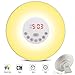Produktbild Lampe-Wecker Nachttischlampe Lichterkette Klingelton 7 Farben 10 Stufen Luminance FM Radio Wecker Licht LED
