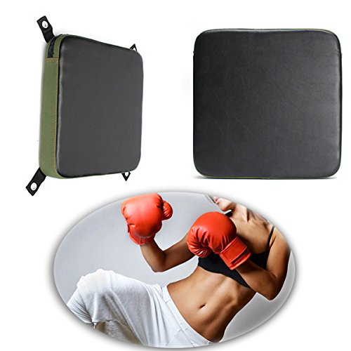 Preisvergleich Produktbild Pinkfishs Boxen Taekwondo Training Pad Bag Wall Focus Target Punch Pad