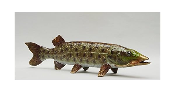 Porcellana Statuetta Di Bronzo Scultura Pesce Luccio Coppa Trofeo 14 5 X 57 5 Cm Amazon It Casa E Cucina