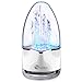 Price comparison product image Svance Dancing Water Speaker Portable Bluetooth Wireless Speakers Powerful Stereo Sound with LED Light Show for iPhone, iPad, Samsung Galaxy, Smart Phones, Laptops and Tablets (White DIY Version)