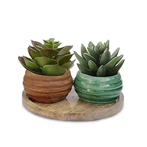 Lasaki Dholak Ceramic Pots with Wooden Round Stand for Indoor Plants,Planters,Flower pots,gamla,Outdoor,Succulent Pot Combo Pack(Color: Green Lt 406 and Antique, Plate: wp10)