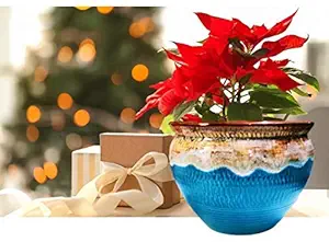 Niyara Stylish Unique Glacier Look Blue Ceramic Pots Planters for Indoor Plants,Succulent,Outdoor,Balcony,Home,Garden,Office Size -Large 7 inches