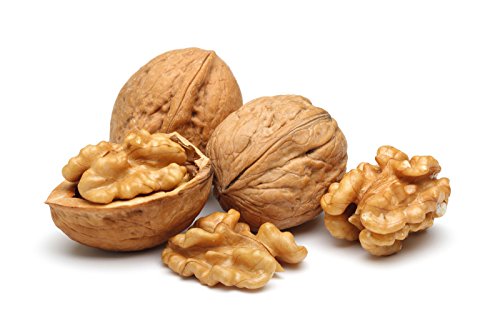 Walnuts in shell top quality human grade