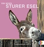 Sturer Esel 2011. Postkartenkalender by 