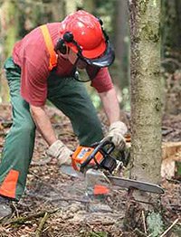 Alkylatbenzin für 2-Takt-Motorgeräte, 10 Liter - 2