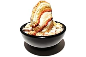 Troesters Brunnenwelt RS-01 Zimmerbrunnen, echter Regenbogen Sandstein, Kleiner Tischbrunnen für zu Hause (Schwarz)