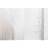 2er Set Fotoabzüge Fotodrucke 