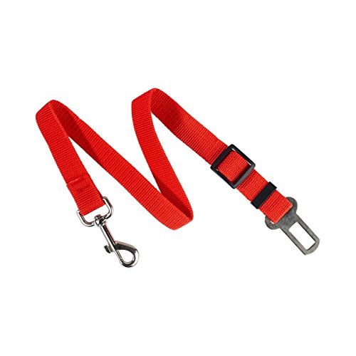 Preisvergleich Produktbild Unbekannt Tier-Sicherheitsgurt