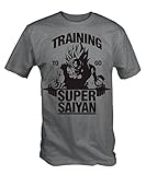 6TN Entraînement D'Aller Super Saiyan T-Shirt (Gris S - XXL) - Gris Cendre, S