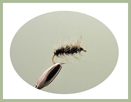 Griffiths Gnat Dry Trout flies, 6 Pack, Choice of Sizes, For Fly Fishing
