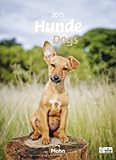 Hunde 2015 by 
