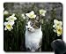 Produktbild Mäusematte, Haustier-Narzissenkatze-Blumenmausunterlage, Mäusematte für Computer cat192