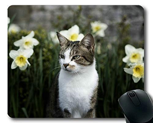 Preisvergleich Produktbild Mäusematte, Haustier-Narzissenkatze-Blumenmausunt... Mäusematte für Computer cat192