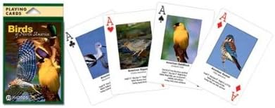 5PK Playing Cards Birds North American