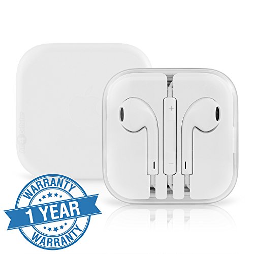 buy earphones with mic