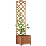 Suchergebnis auf Amazon.de für: spalier: Garten