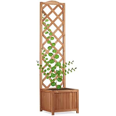 Suchergebnis auf Amazon.de für: spalier: Garten