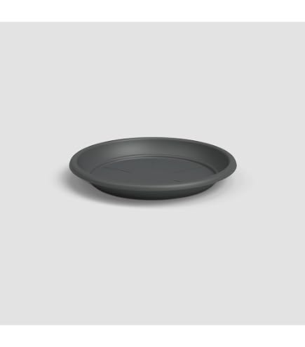 Soucoupe Ronde Pour Pot De Fleurs Ecopots - Ø 28,7 Cm, Hauteur 3 Cm - Gris Foncé - Plastique Recyclé Résistant Aux UV