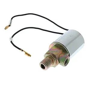 Big Shoppe Store 12V 24V Train Truck Air Horn Electric Solenoid Valve Heavy Duty 1/4'' Chrome Pack of 1